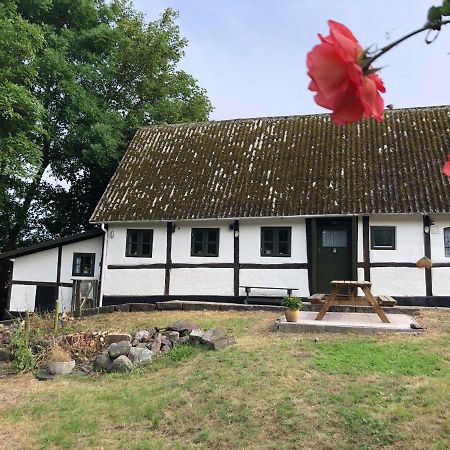 Gaestehus Nyord Exteriör bild