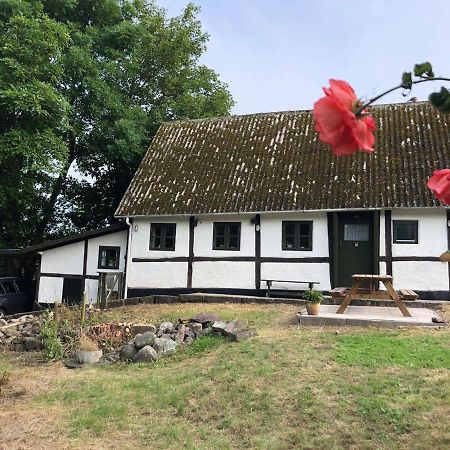Gaestehus Nyord Exteriör bild